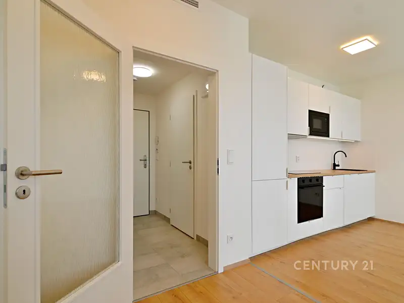 Pronájem bytu 1+kk 35 m², Praha – náhled fotky 2