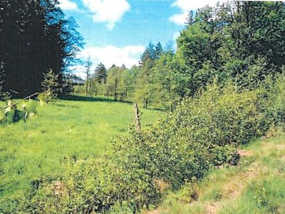 Prodej lesa 14570 m²
