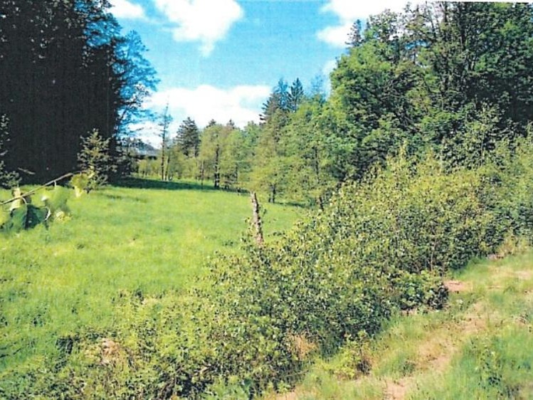 Ділянка на продаж, 14 570 м² (1 з 4)