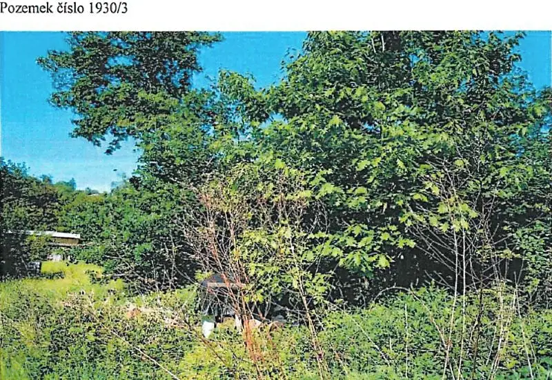 Prodej lesa 86 m², Chotěboř – náhled fotky 1