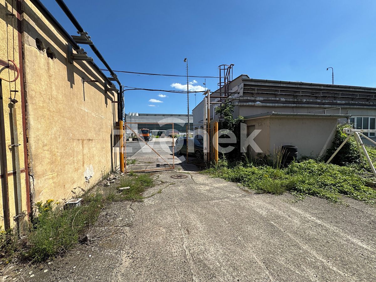Pronájem pozemku 1175 m² – fotografie 4