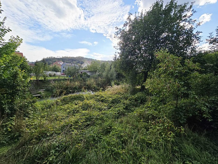 Ostatní
