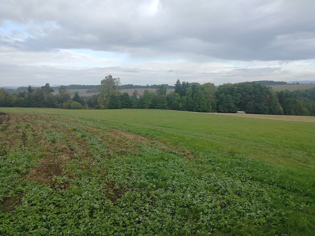Prodej louky 15200 m², Nekoř – fotka 1 z 3