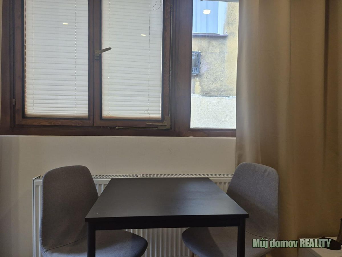 Pronájem bytu 1+kk 15 m² – fotografie 5