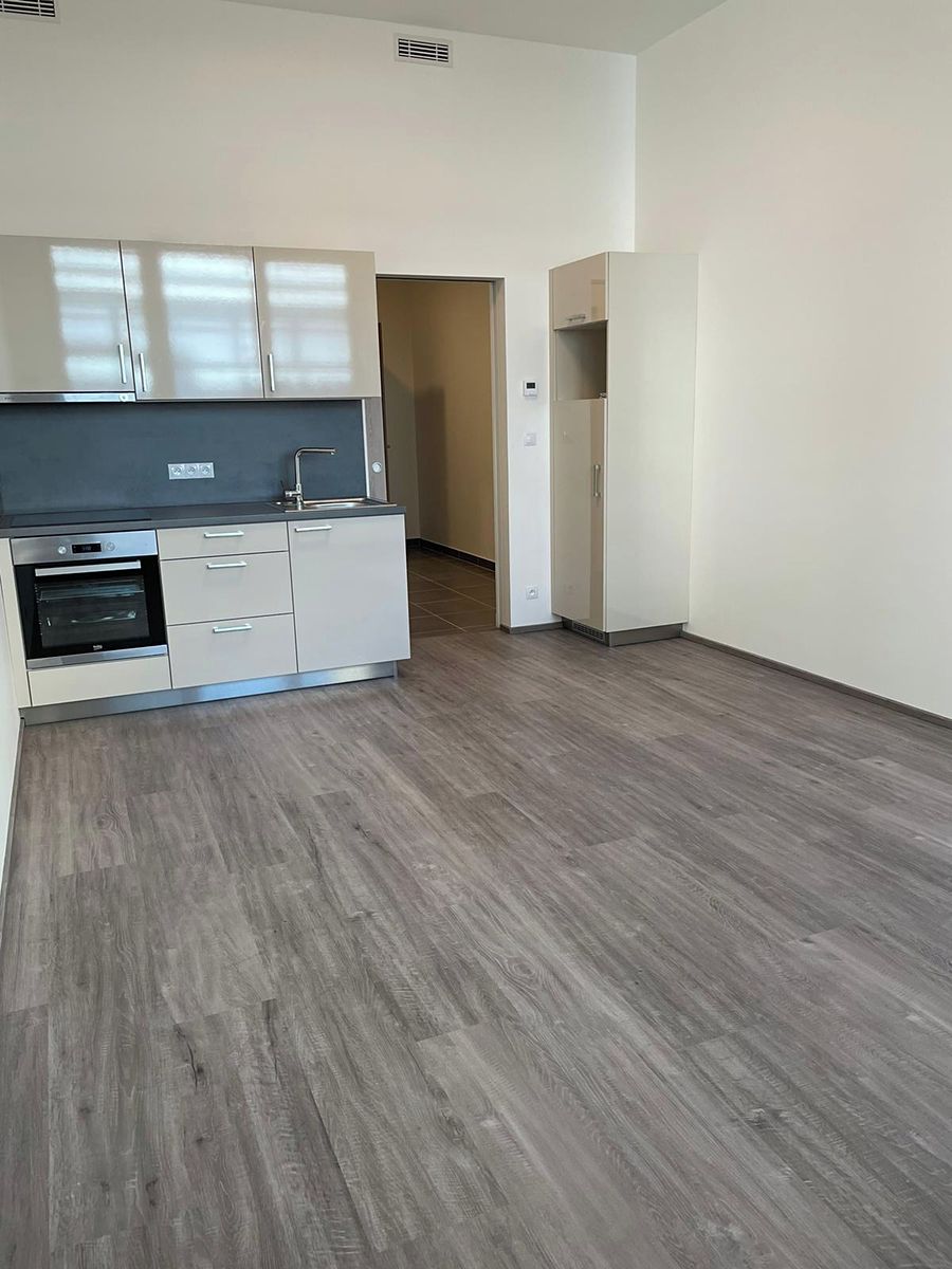 Pronájem bytu 1+kk 37 m²