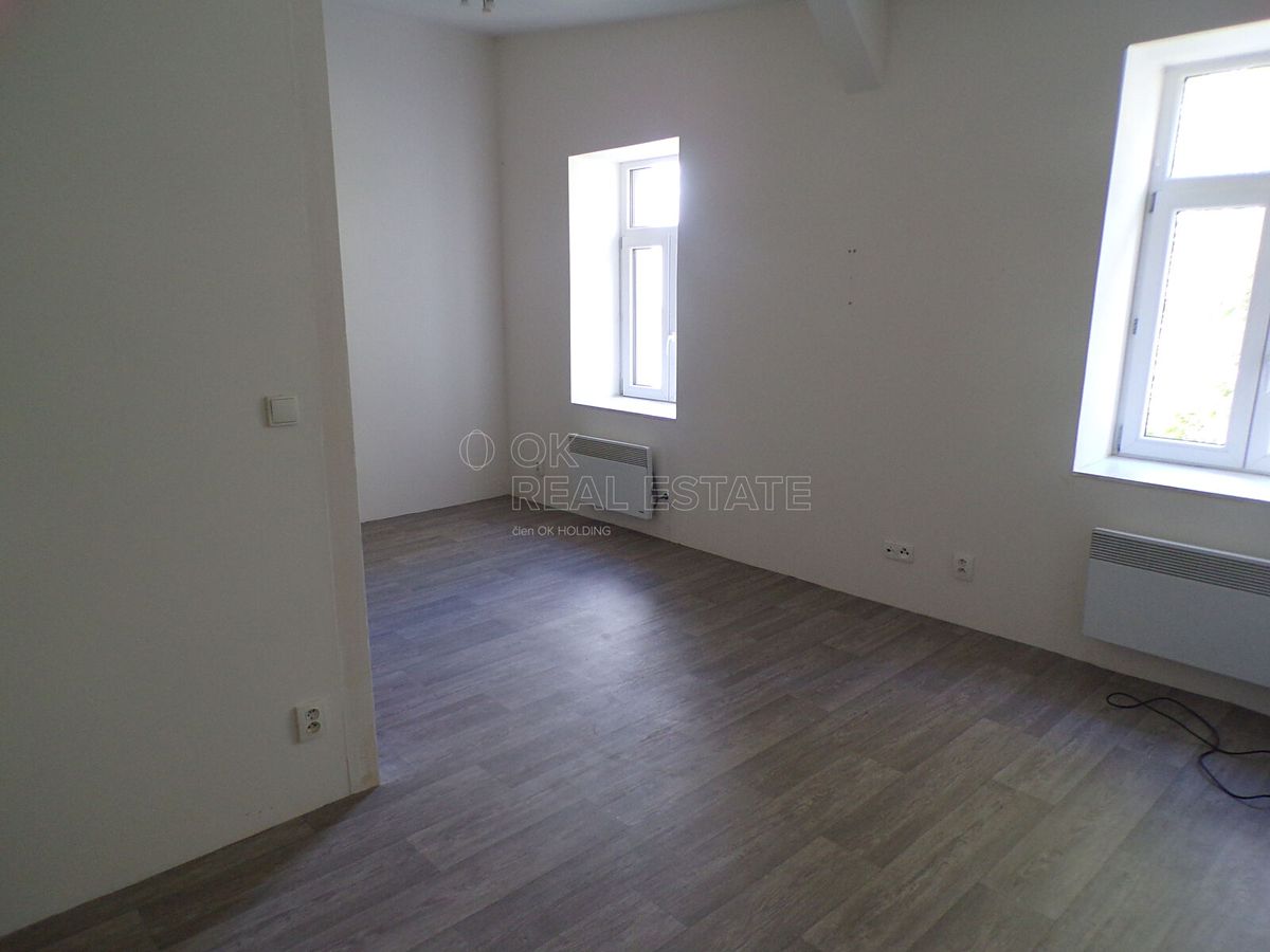Pronájem bytu 1+kk 30 m² – fotografie 4