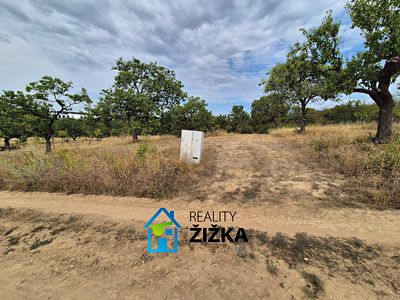 Prodej zahrady 870 m²