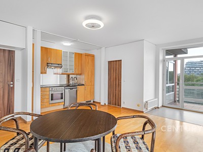 Wohnung 2+kk zur Miete, 54 m² (3 von 14)