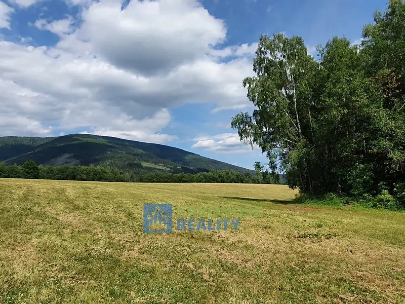 Prodej pozemku 4617 m², Černý Důl – náhled fotky 3