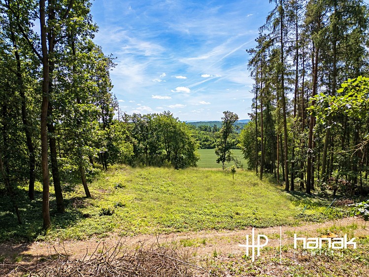 Grundstück zum Kauf, 3.150 m² (5 von 13)