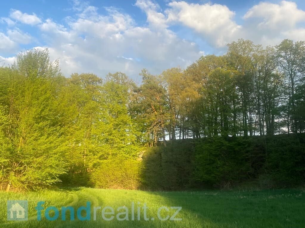 Prodej pole 3829 m² – fotografie 3