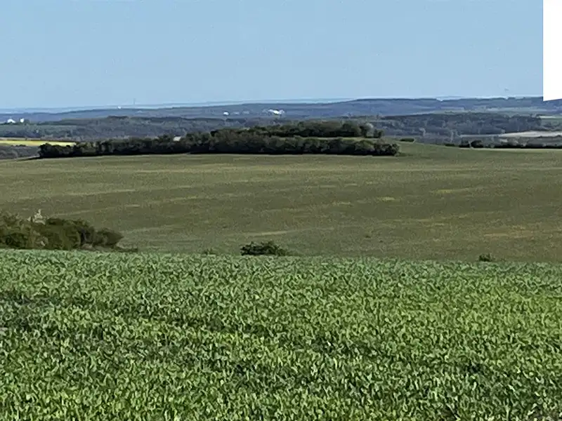 Prodej pole 9461 m², Polepy – náhled fotky 1