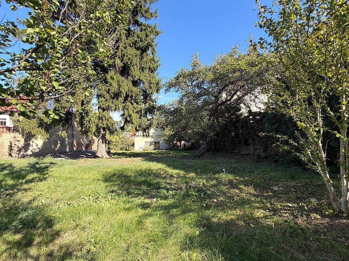 Prodej rodinného domu 150 m², pozemek 1130 m² – fotografie 3