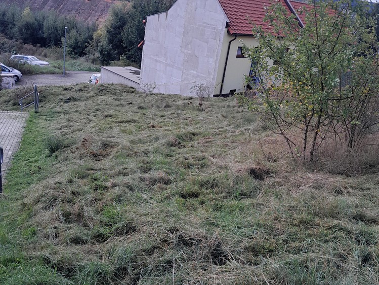 Grundstück zum Kauf, 703 m² (5 von 9)
