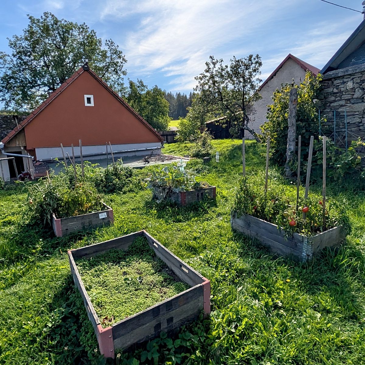 Prodej rodinného domu 115 m², pozemek 1834 m² – fotografie 2