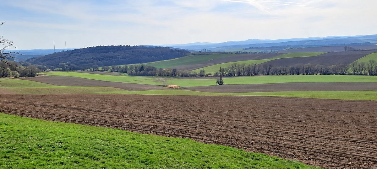 Prodej pole 13069 m² – fotografie 3