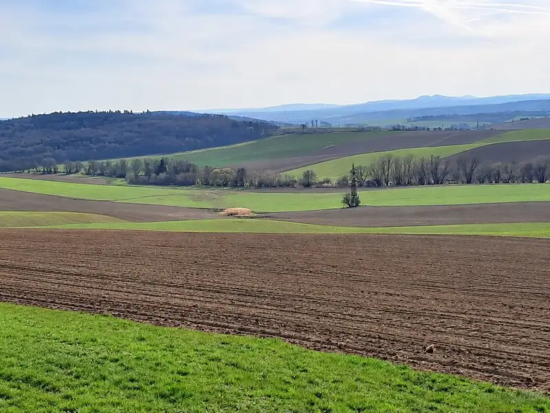 Prodej pole 13069 m², Karlovice – náhled fotky 3