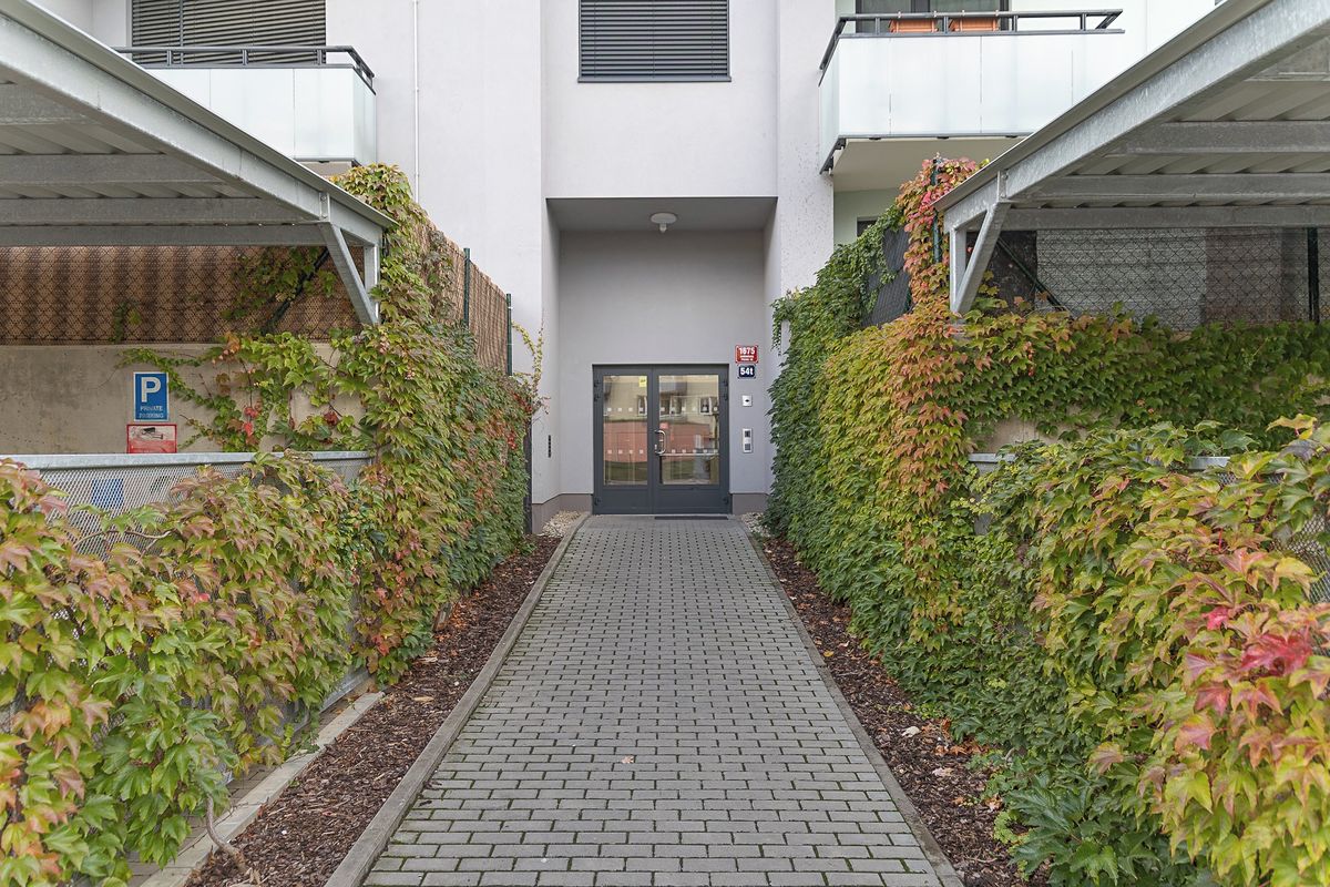 Pronájem bytu 1+kk 33 m² – fotografie 5