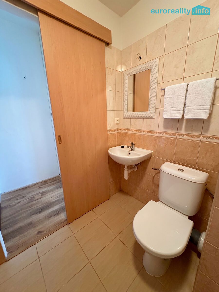 Pronájem bytu 1+kk 20 m² – fotografie 4