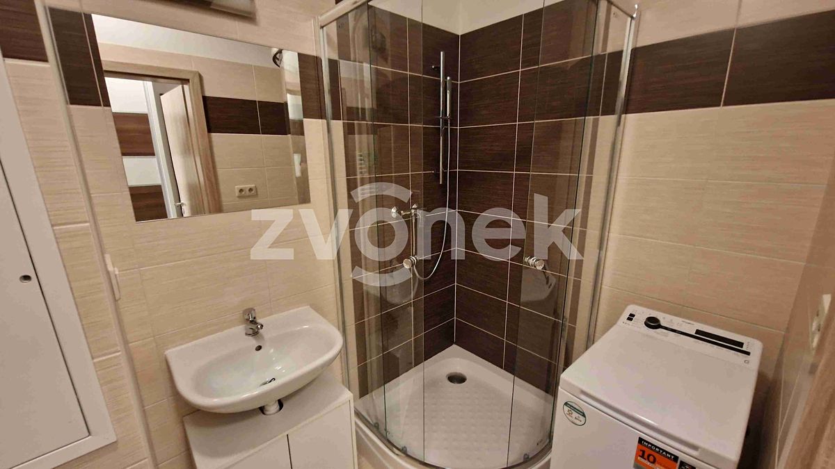 Pronájem bytu 1+kk 30 m²
