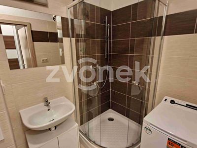 Pronájem bytu 1+kk 30 m²