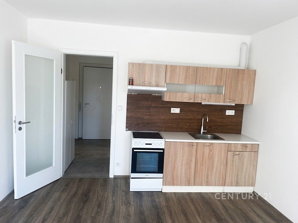 Pronájem bytu 1+kk 33 m²