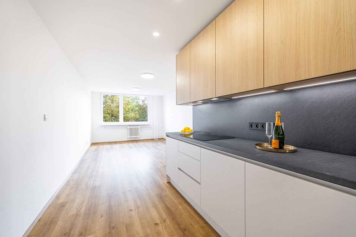 Prodej bytu 3+kk 67 m² – fotografie 4