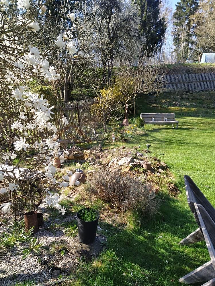 Prodej zahrady 569 m² – fotografie 3