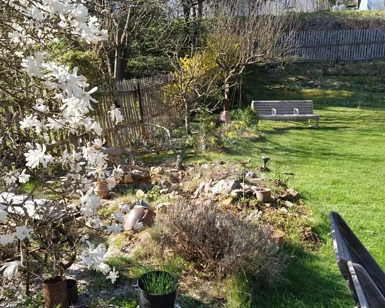 Prodej zahrady 569 m², Žlutice – náhled fotky 3