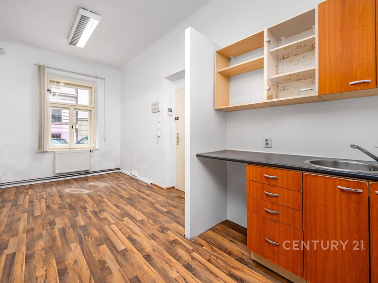 Prodej bytu 3+1, 69 m² (1 z 29)