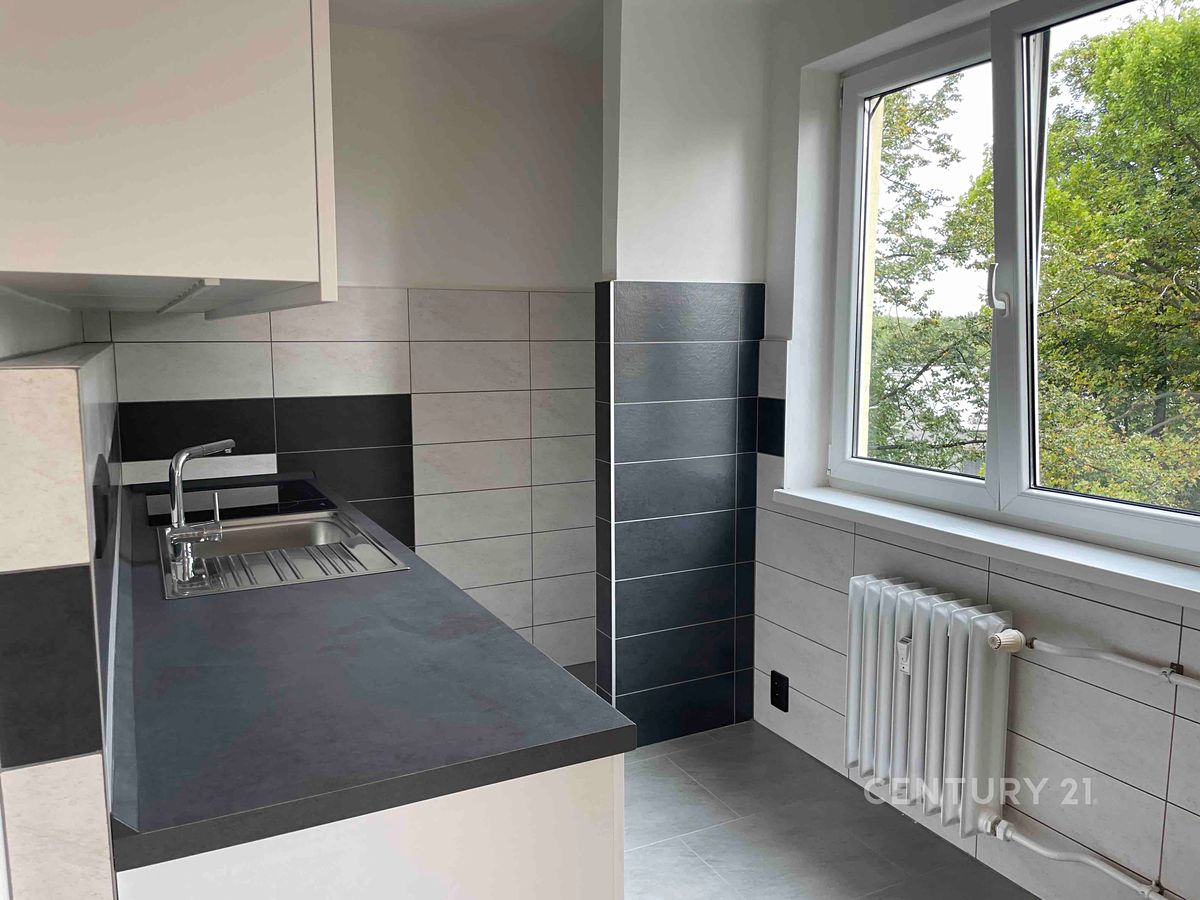 Pronájem bytu 1+1 38 m² – fotografie 3