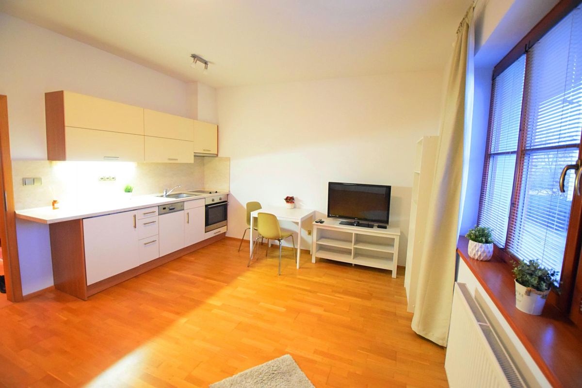 Pronájem bytu 1+kk 36 m²