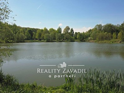 Prodej  komerčního pozemku 32 500 m²