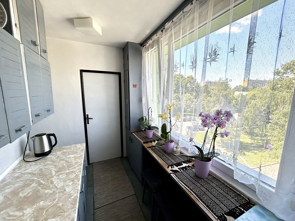 Pronájem bytu 3+1 65 m² – fotografie 4