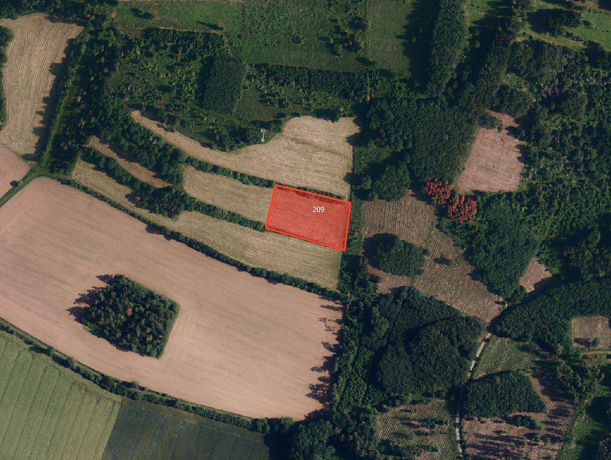 Prodej louky 4646 m²