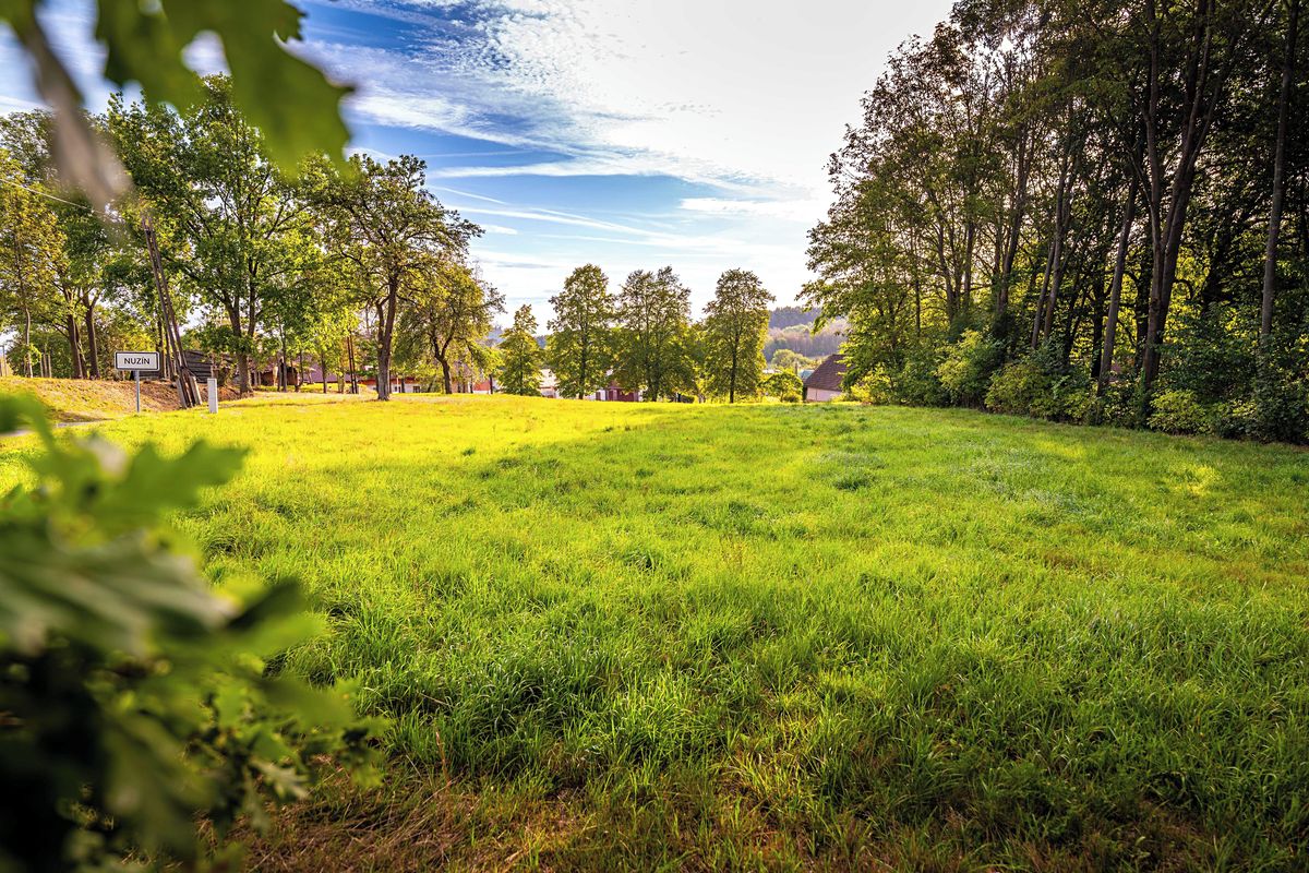 Prodej stavebního pozemku 4931 m² – fotografie 5