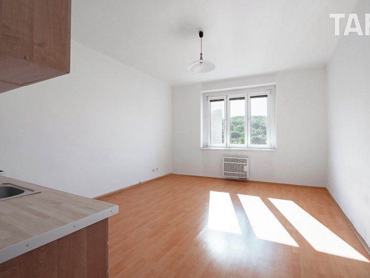 Wohnung 1+kk zum Kauf, 36 m² (1 von 10)