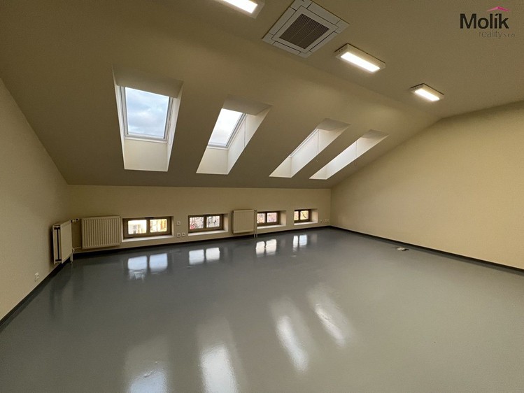 Комерційне приміщення в оренду, 20 м² (22 з 30)