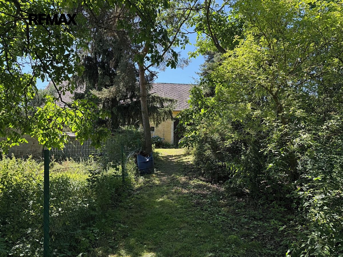 Prodej rodinného domu 85 m², pozemek 352 m² – fotografie 4