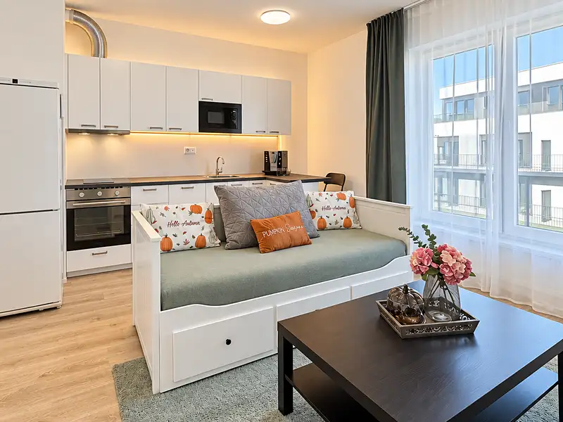 Prodej bytu 1+kk 27 m², Plzeň – náhled fotky 1