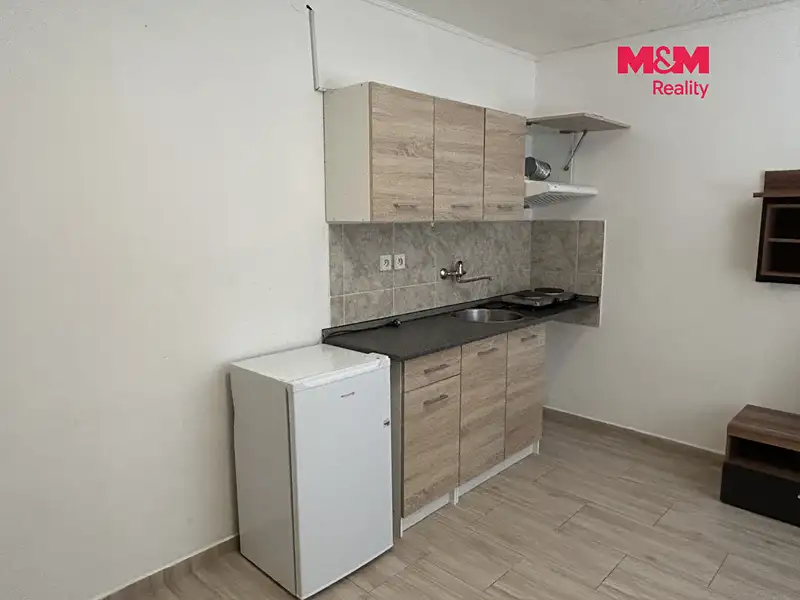 Pronájem bytu 1+kk 16 m², Králův Dvůr – náhled fotky 3
