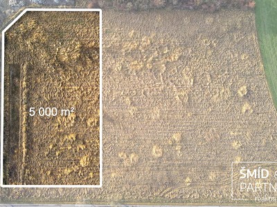 Prodej  komerčního pozemku 5 000 m²