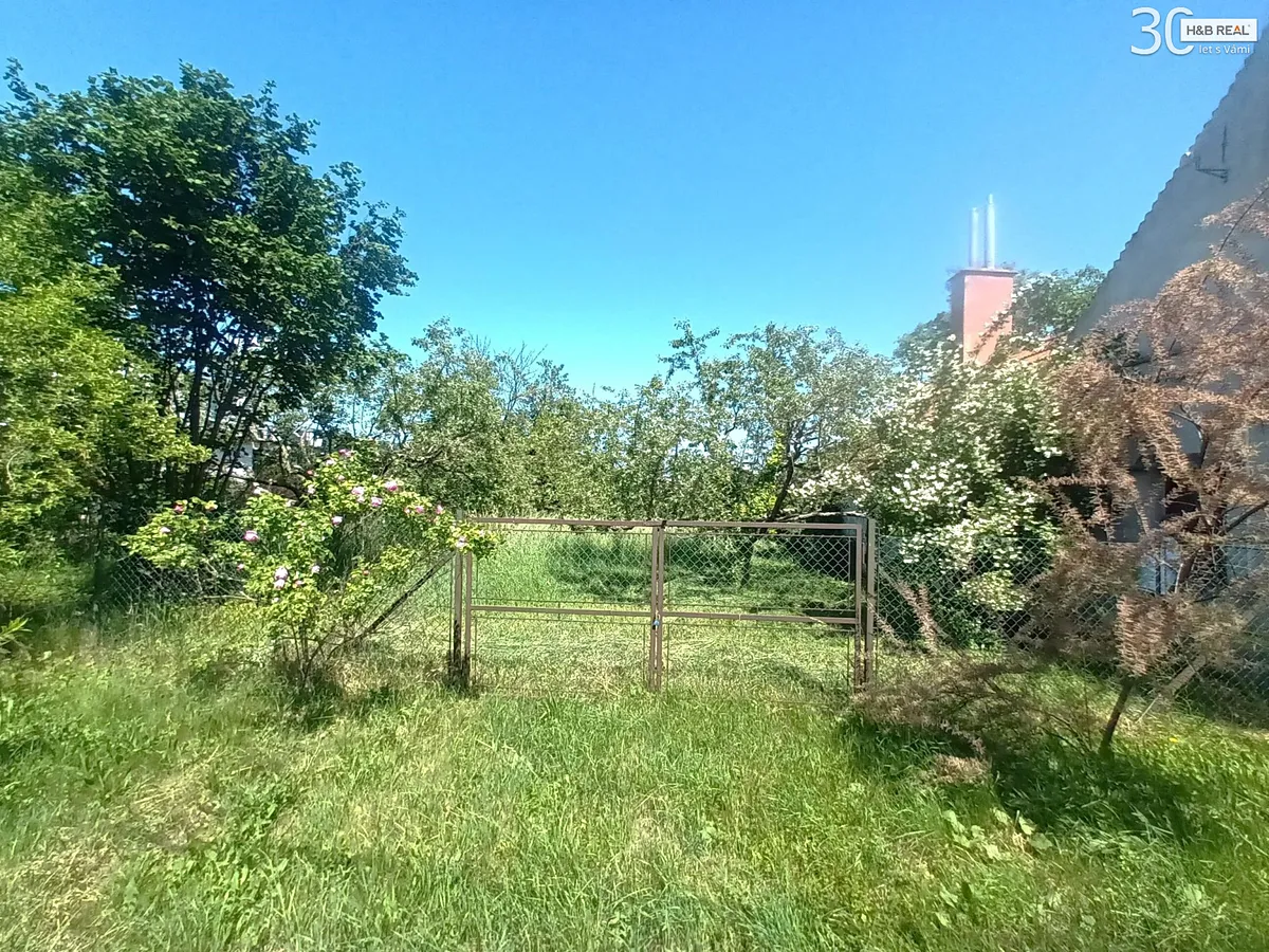 Fotka 7 z 15