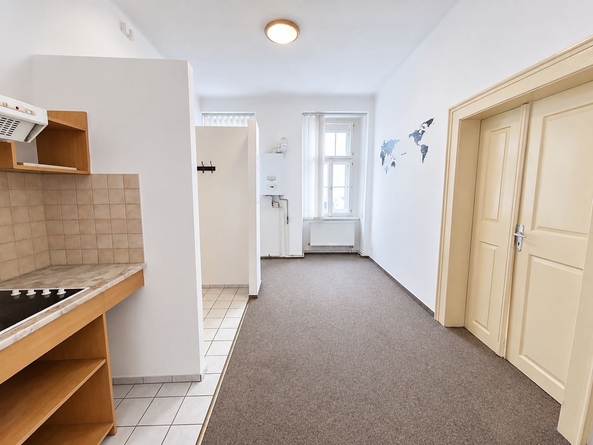 Pronájem bytu 2+kk 43 m² – fotografie 3