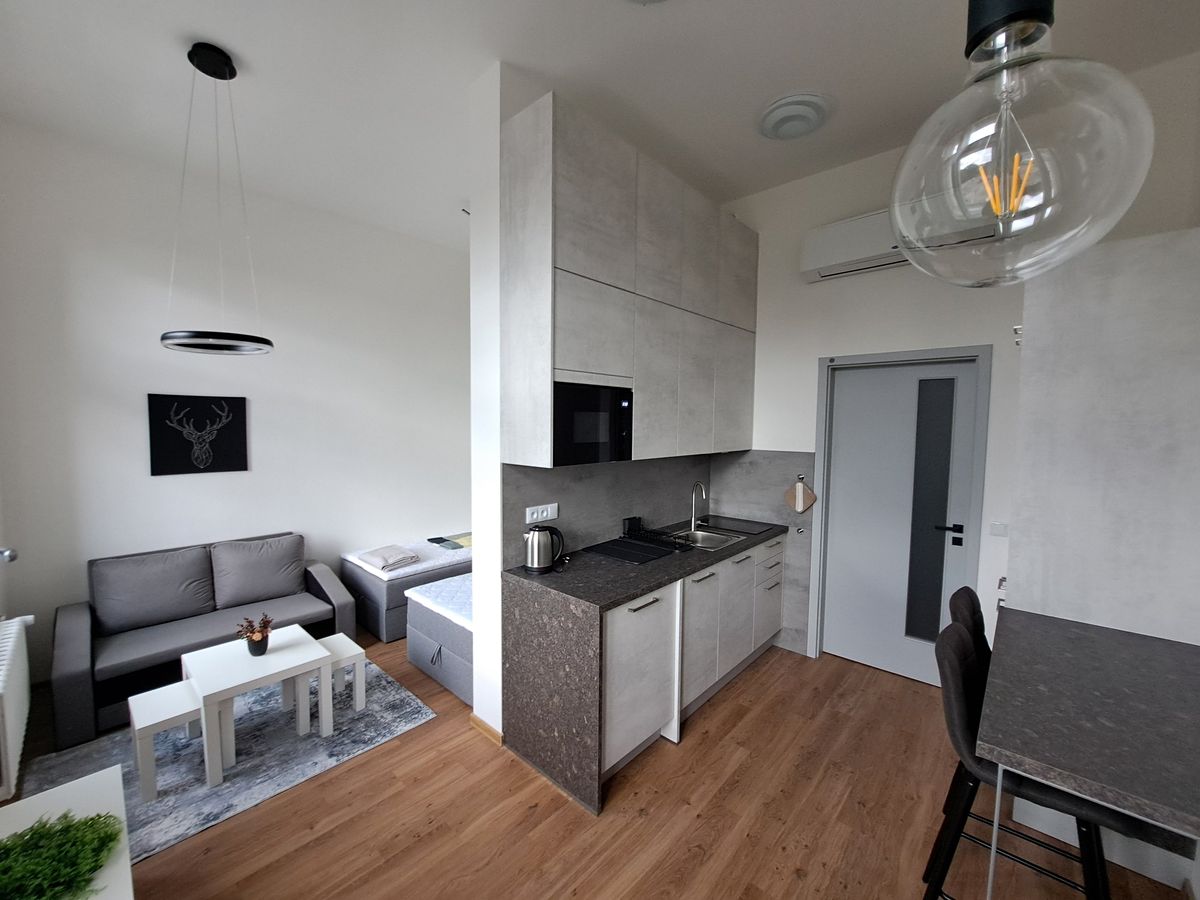 Pronájem bytu 1+kk 31 m²