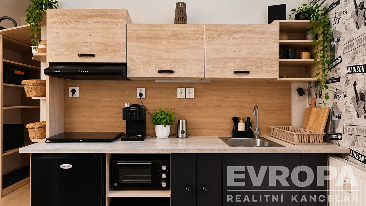 Pronájem bytu 1+kk 18 m² – fotografie 2