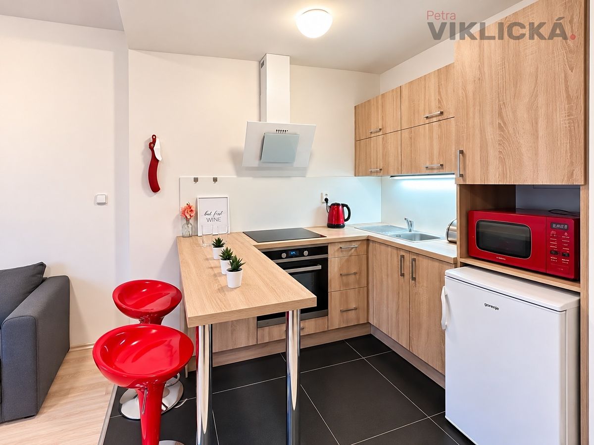 Pronájem bytu 1+kk 33 m² – fotografie 2
