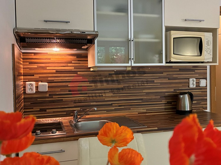 Wohnung 1+kk zum Kauf, 25 m² (28 von 29)