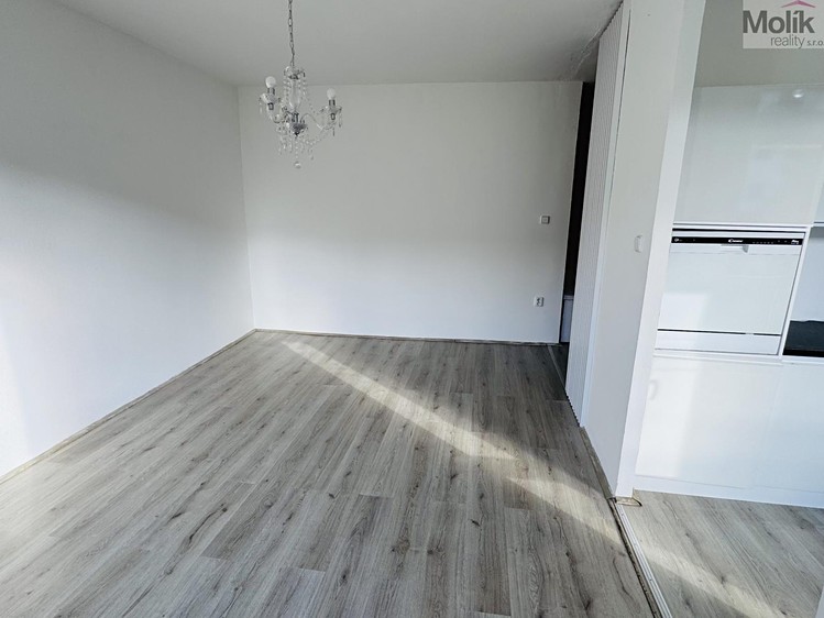 Квартира 1+1 в оренду, 30 м² (9 з 23)
