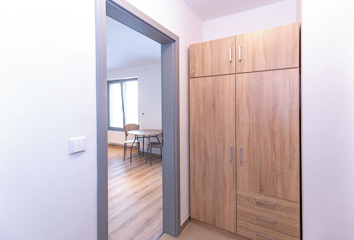 Pronájem bytu 1+kk 30 m² – fotografie 5